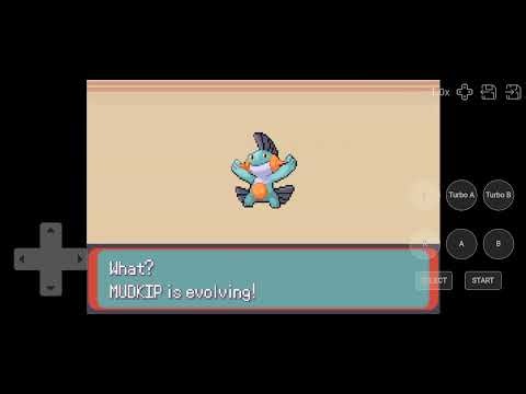 Pokemon Glazed gameplay evolution