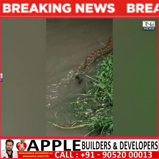 crime reporter mohd imran | Moosa Nadi Mein Pani Ke Baho Ke Sath Jaanleva Saanp Dekha Gaya... #hyderabad | Instagram