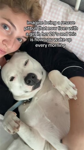 My Rescue Pitbull: A Morning Routine Full of Love