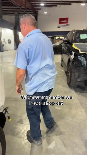 Tigger Loves the Crown Car: Cute Cat Reaction Video
