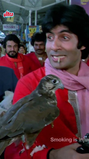 "बचपन से ही सर पे अल्लाह का हाथ..." – The Epic Falcon & Amitabh Scene in Coolie! 🦅🔥
