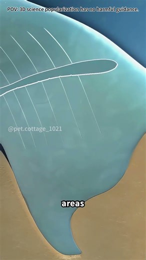 How deviated nasal septum surgery explained #sad #lofi #music #vibes