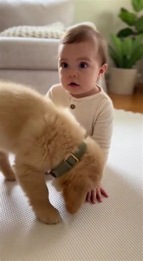 He Froze When the Puppy Came This Close…