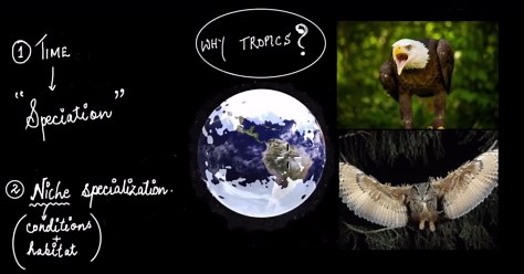 Writing expressions word problems