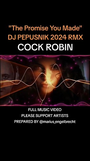 DJ PEPUSNIK Remix of Cock Robin - The Promise You Made (2024)