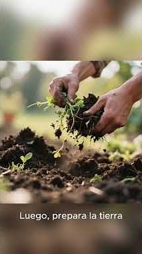 como hacer tu biohuerto de hortalizas en tu jardín 1