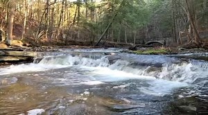 📍Wolf Creek is now accessible by car for the season! 💎 This gem within a gem of a park is in a steep stretch of road toward the south end that is only accessible by foot, snowmobile, or cross country skis in the winter. 💦 Keep in mind that Wolf Creek flows into the park from farm fields…and it’s manure season! Please stay clean and safe, don’t wade or swim in Wolf Creek at any time of year. 🌱 Parks biologists are restoring sensitive streamside habitat near the vehicle bridge. Look for the ye