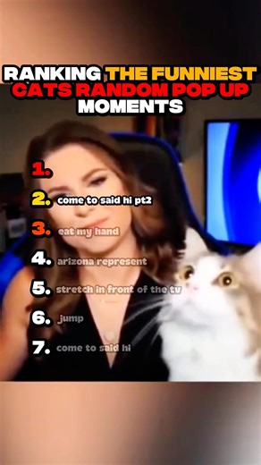 The cutest cat randomly pop up moments!