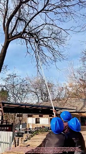 Manual Tree Maintenance : Removing a Hazardous Branch with a Rope