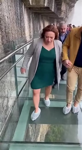 Explore the Best Creator Support Programs