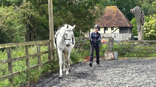 How long-reining could take your horse from unbacked youngster right up to grand prix