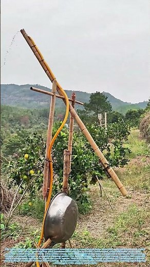 Scarecrow 2.0: How Bamboo and Water Create a Self-Resetting Bird Deterrent