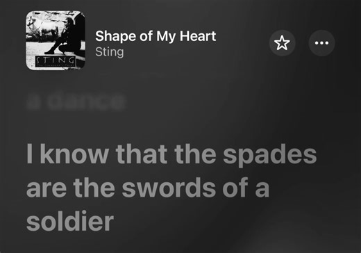 Shape of My Heart Lyrics Analysis