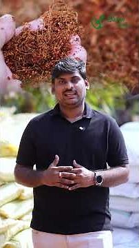 How to Prepare the Perfect Soil Mix for Plants | Garden Soil + Compost Guide | Green Evolve