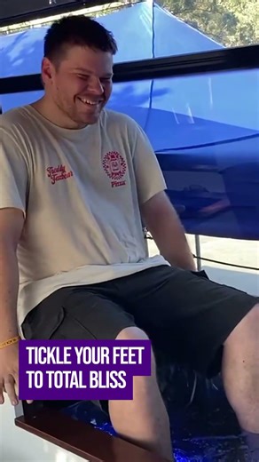 Relaxation at Your Fingertips: Mobile Fish Spas