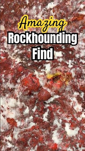 Stunning Brecciated Red Jasper | Olympic Mountain Find 🪨🔥