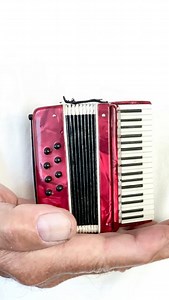 What instrument do you play? 🪗 I had piano lessons as a child, then played the bassoon at school and switched to the flute because it was easier to carry back-and-forth. 😂 I was amused by this miniature accordion I found at a swap meet—such a charming little piece! Did you know Barry Manilow started out playing the accordion? 🪗 What musical instruments did you play growing up? Share your memories with me! 🎶 #MiniatureWorld #miniature #accordian #grandmagetsreal | Grandma Gets Real