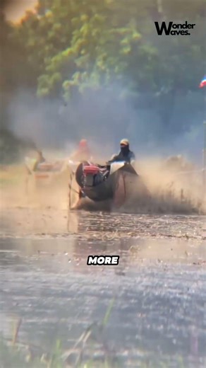 Everything in Thailand is Racing #shorts