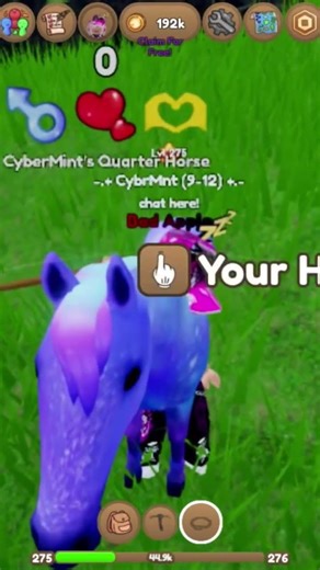 i finished the quarter horse!