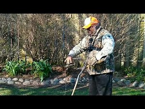 Capturing a raccoon in a dog proof, then dispatch it by using a conibear trap , 220/ Master Trapper