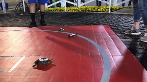 1.4K views · 26 reactions | TURTLE RACES! | Sam Houston Race Park | Facebook