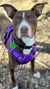 2.3K views · 961 reactions | After 93 days as one of our remarkable...