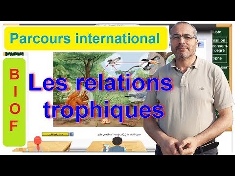 les relations trophiques dans le milieu naturel