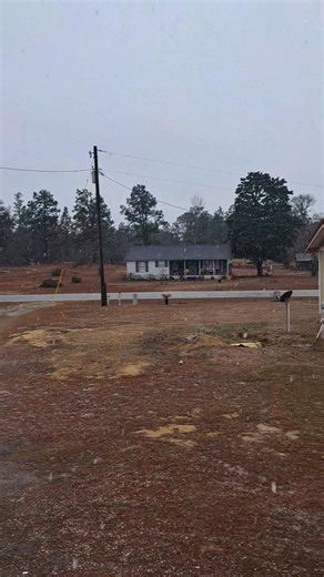 Snow ❄️ 2026! | Susan Carlson