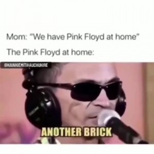 18 reactions · 3 comments | WOLVERINEKILLS on Reels | Facebook