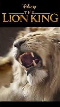 Mufasa gets trampled by the stampeding buffalo. | The Lion King (2019)