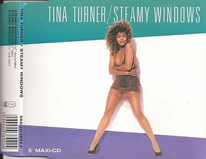 Tina Turner - Steamy Windows