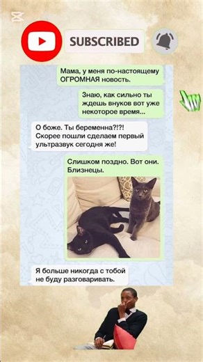 Когда мама слишком рано обрадовалась 😂🐈 #memes #funny #cats