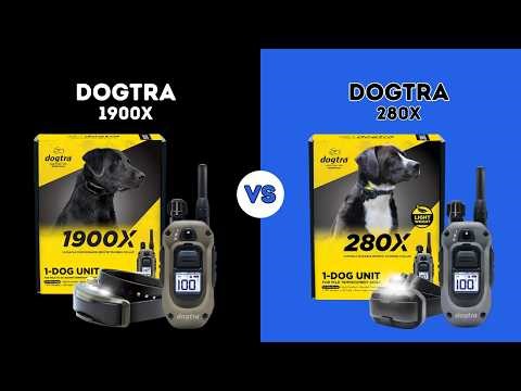 ⭐ DOGTRA 1900X VS DOGTRA 280X ⭐ | COMPARISON