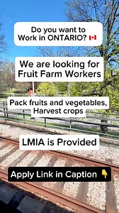 14K views · 213 reactions |  Hiring Fruit Farm Workers. https://www.canadacareersite.com/job/general-labourer-farm-1418979-671-10492 | ZT Canada | Facebook