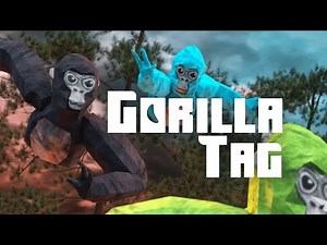 Live streaming of gorrila tag