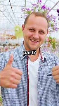 Wonder Garden Delight : Discover the Charm of Lamium Plants!