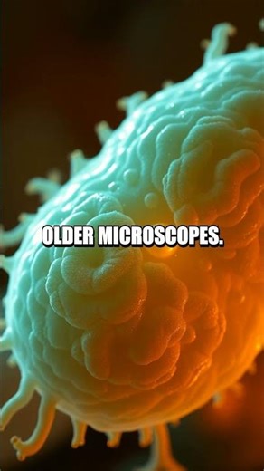 The Lattice Light-Sheet Breakthrough Revealing the Hidden Dance of Cell Division