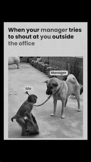 manager vs me developer meme #meme #developermeme #webdevelopment #funny #webdeveloper #developer