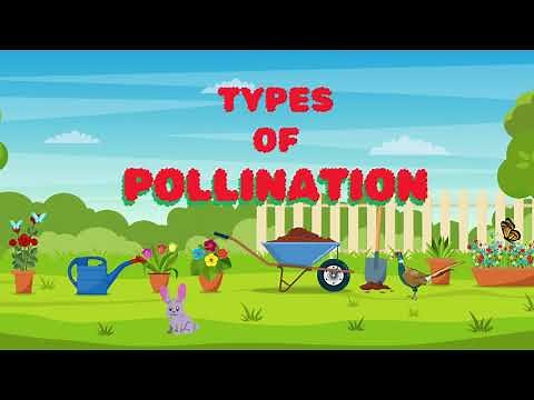 Types of Pollination | Cross Pollination | Self Pollination | Science for Kids