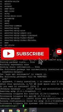 Remove/Uninstall Programs on the RaspberryPi #shorts
