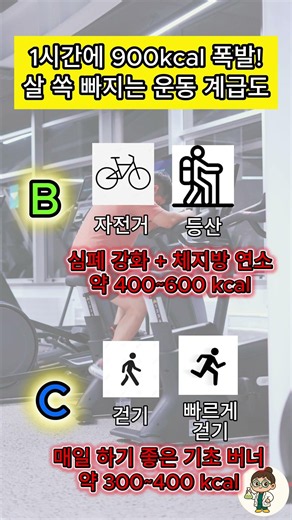 걷기만 하면 뱃살 절대 안 빠집니다 ❌ 1시간에 900kcal 태우는 나이별 최고의 운동 계급도