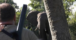 5.7K views · 43 reactions | COMMUNITIES AND THE SAFARI-HUNTED IVORY...