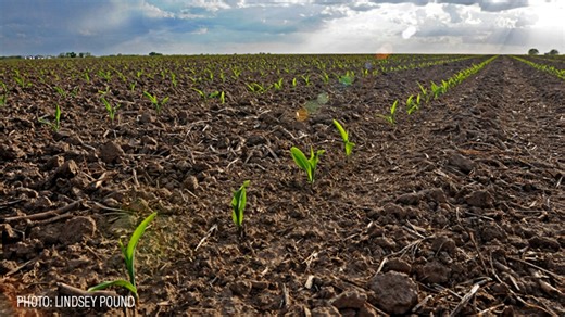 Better Coverage, Lower Premiums: What Farmers Need to Know Before the March 15 Deadline