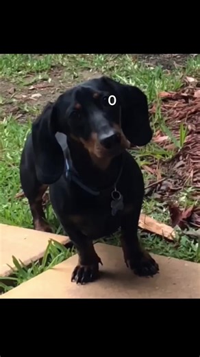 #greenscreen he still has the baby eyes