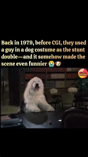 Scroll N Smile | The Shaggy Dog tells the story of Dave Douglas, a workaholic lawyer whose world flips upside down after he’s bitten by a magical dog and... | Instagram