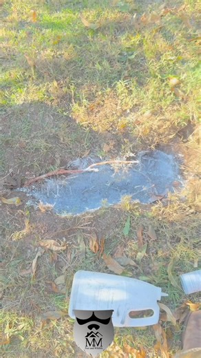 M&M Pest and Wildlife on Reels