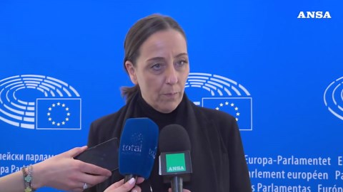 Funaro: "Firenze disponibile per sede Universita' Mediterraneo"