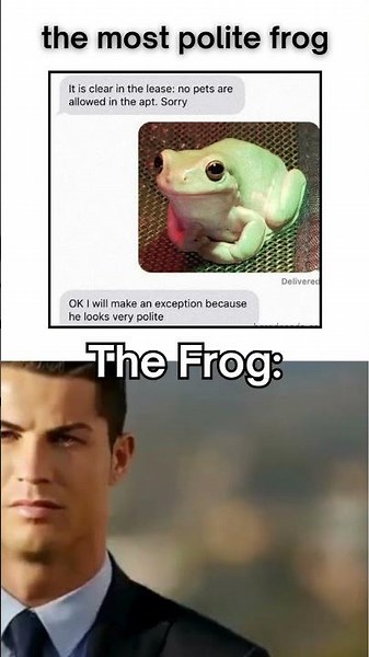 The Frog 🐸🗿 #shorts #funny #meme #shortsranking