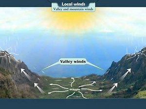 MSB Geography Std 06 | Wind | Types of Winds