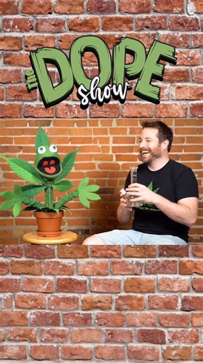 Tacoma! July 26th!👽🤯 The Dope Show is a stand up comedy showcase where comedians perform, then take a break to get SUPER HIGH😰, and then ATTEMPT to perform again!🤣😆 Supported by Phat Panda! 🐼 | The Dope Show